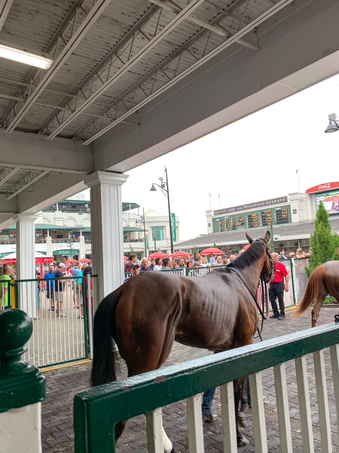Best Things to Do in Louisville featured by top North Carolina blog I'm Fixin' To