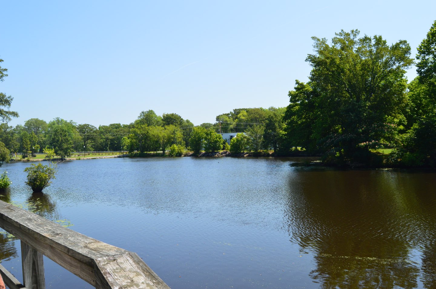 A Day Trip Guide to Windsor, North Carolina - I'm Fixin' To - @mbg0112