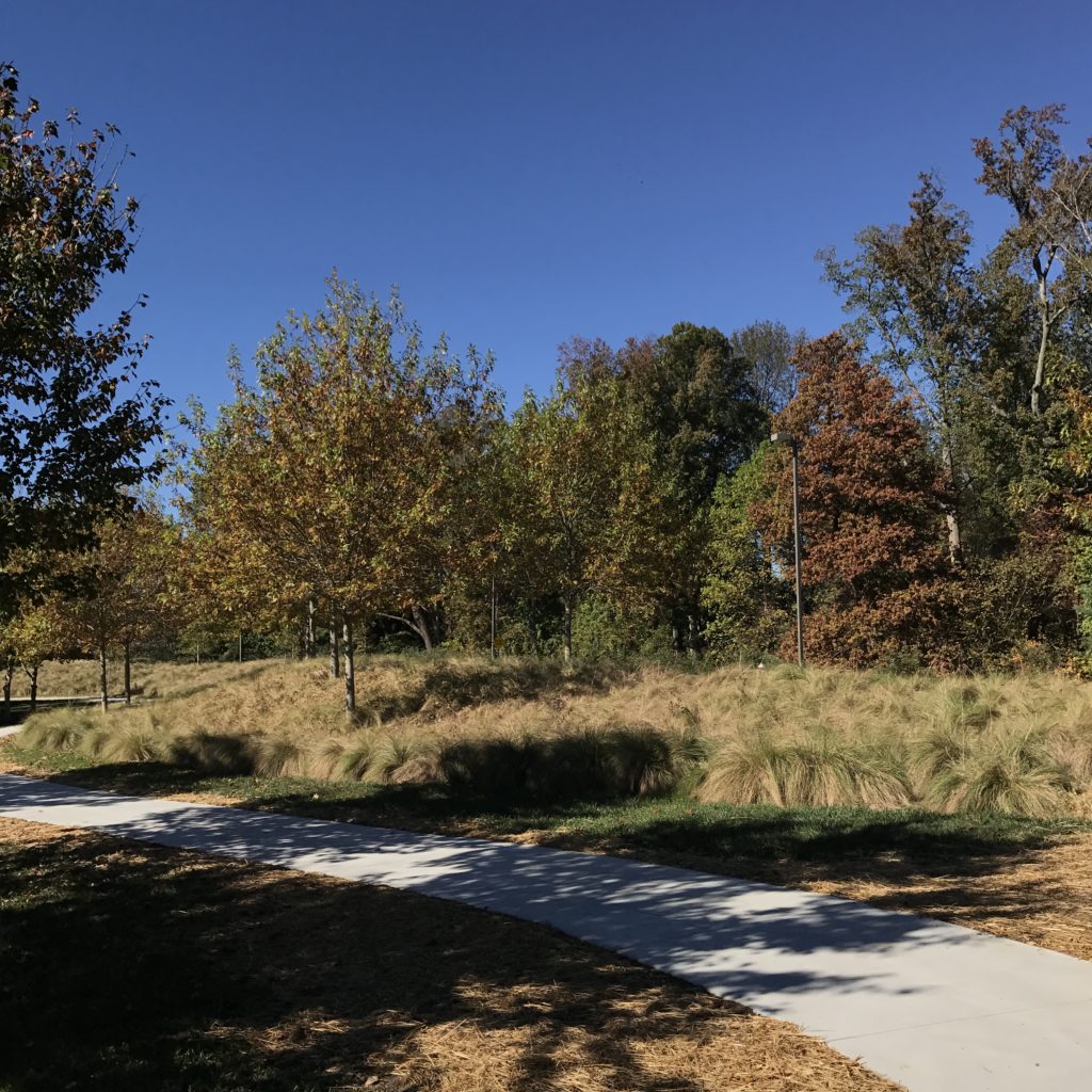 A Warm Weekending in November