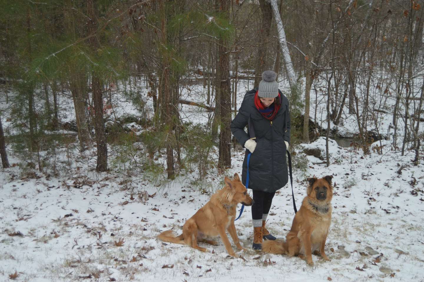Snow Day Fun with the Boys