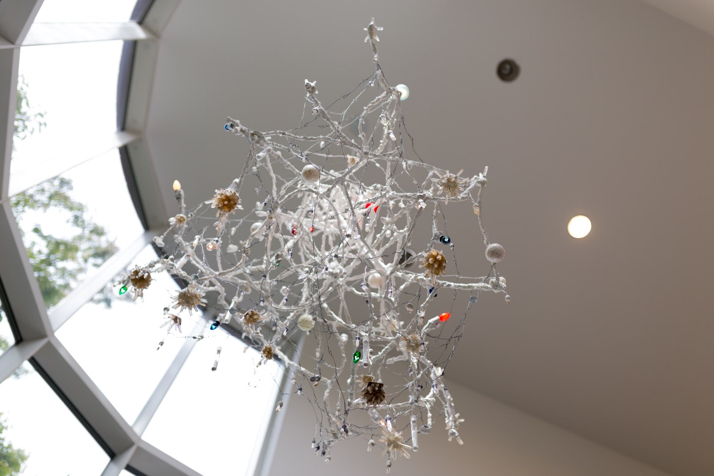Weatherspoon Art Museum visit the art in Weatherspoon Art Museum one of the Things to Do in Greensboro