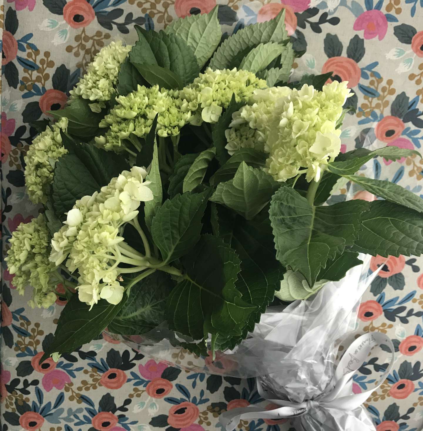 Friday Favorites: Last One of April - I'm Fixin' To - @mbg0112