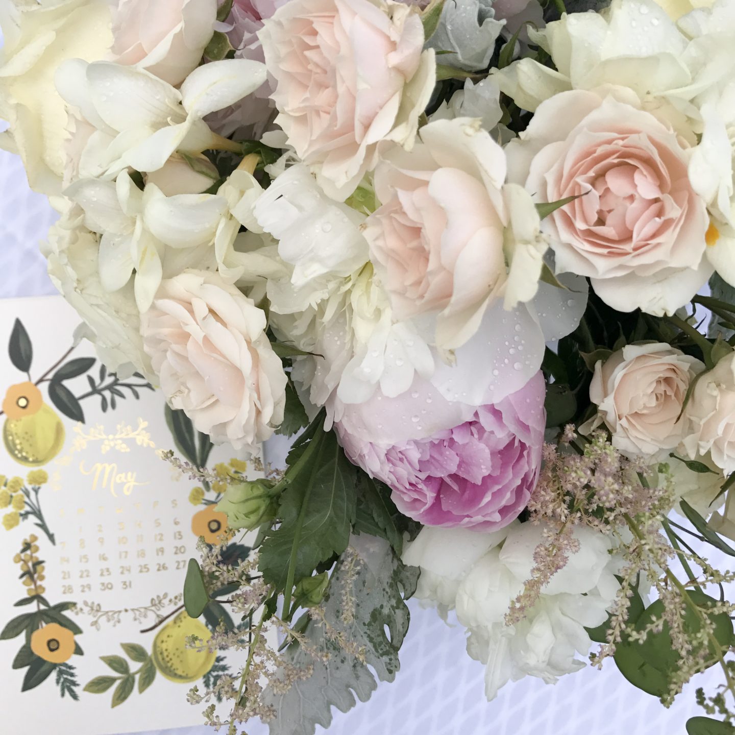 Friday Favorites: Welcome May & April Instagram Roundup - @mbg0112 - I"m Fixin' To