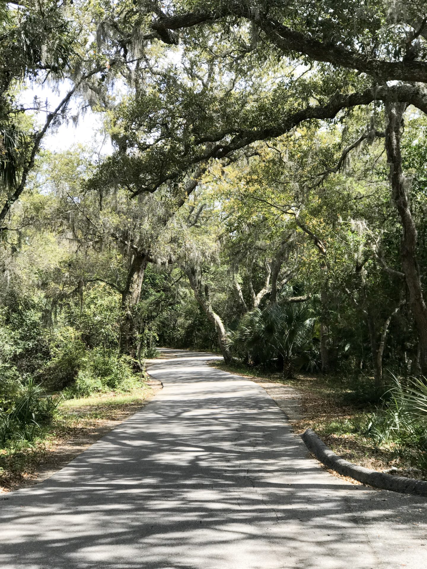 Friday Favorites: Welcome May & April Instagram Roundup - @mbg0112 - I"m Fixin' To