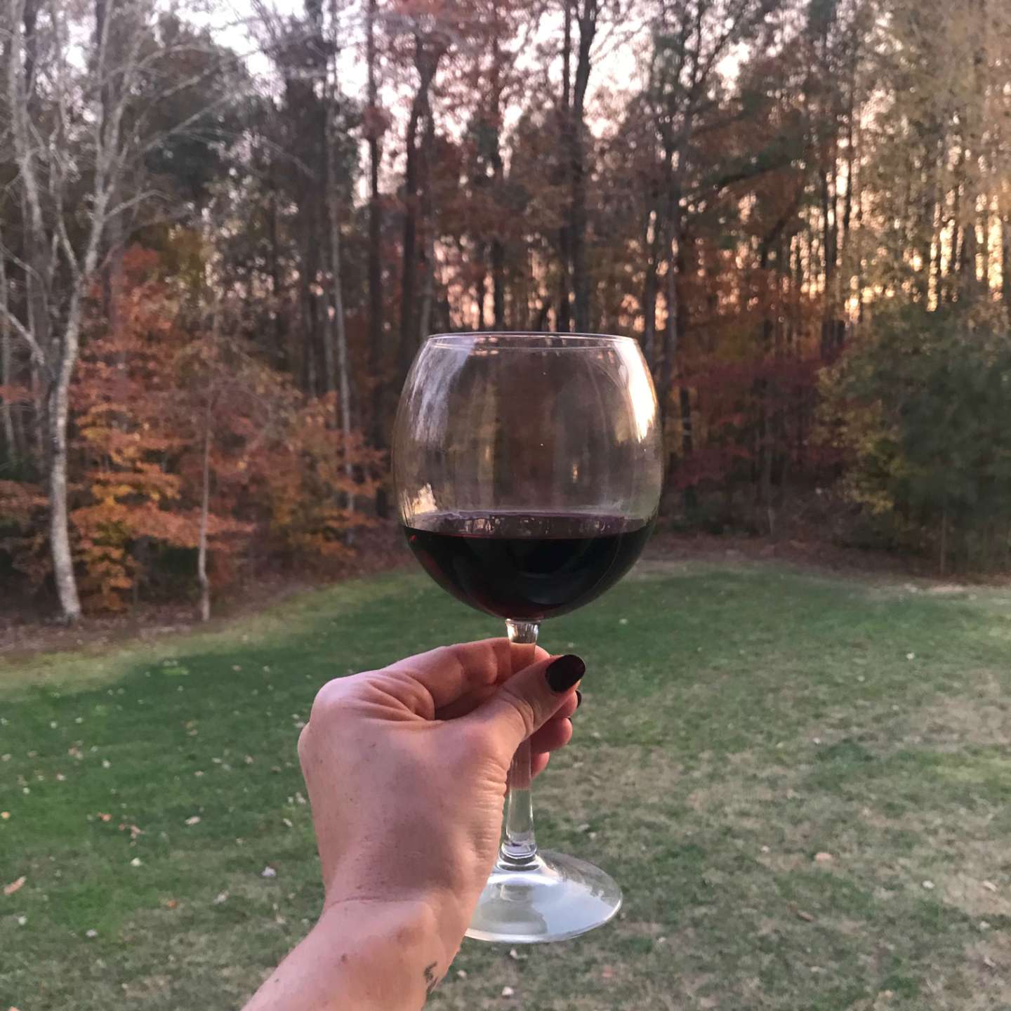 Weekending: Thanksgiving 2017 Edition - I'm Fixin' To - @mbg0112