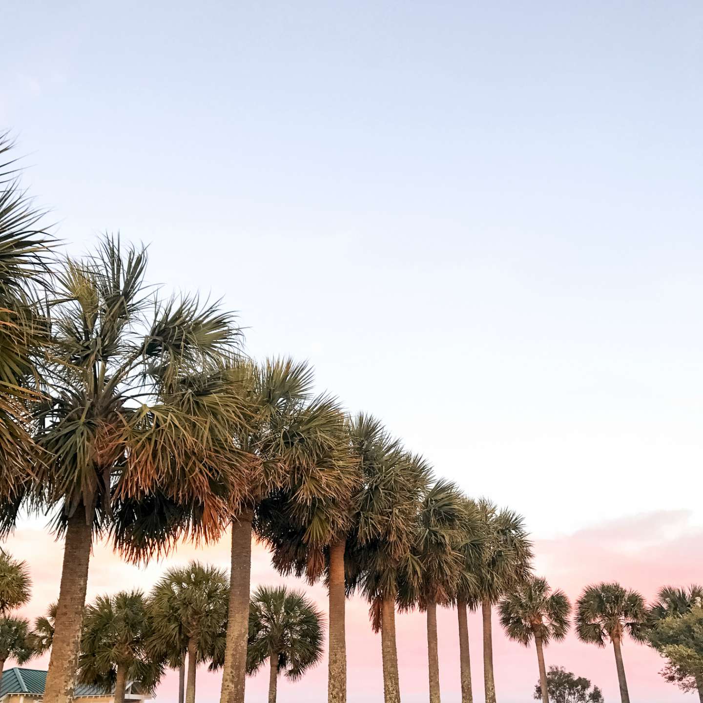 My Love Letter to North Carolina - I'm Fixin' To - @mbg0112