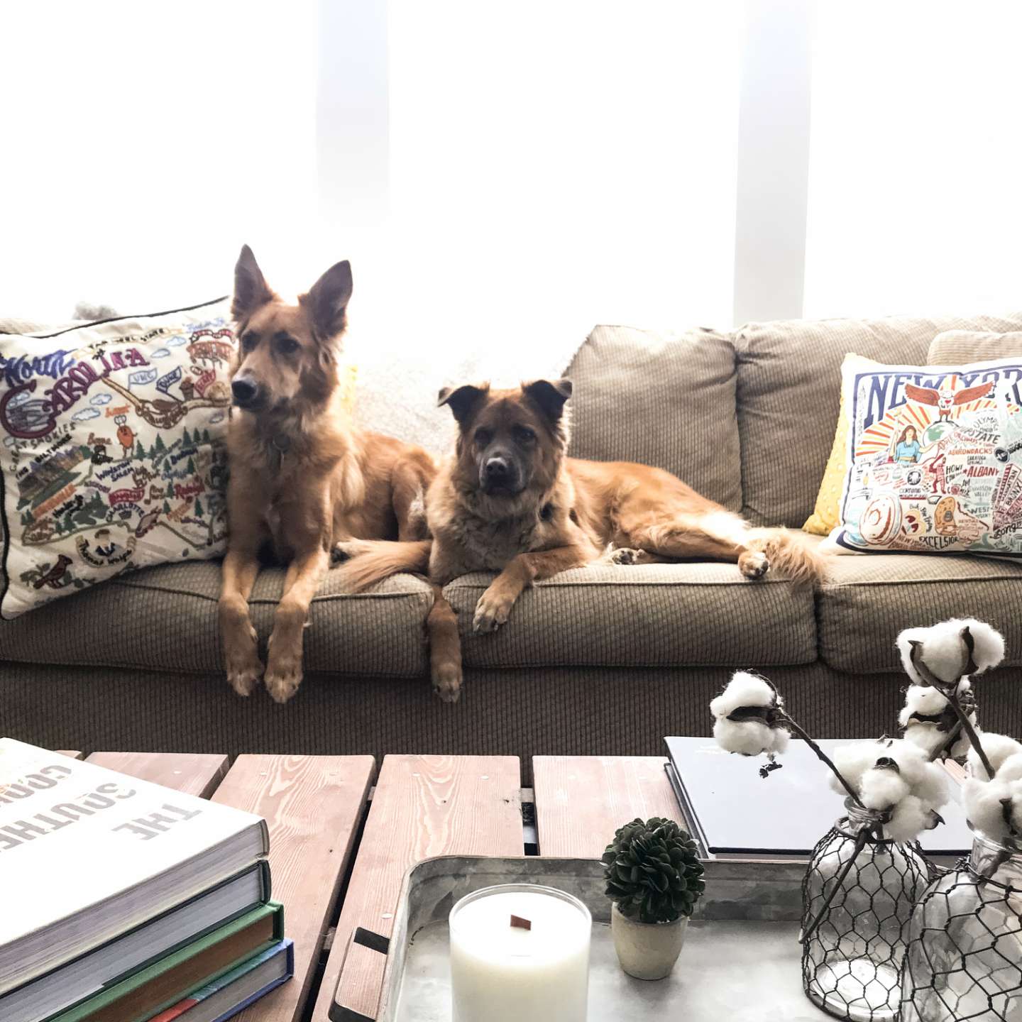 Welcome April + March 2018 Instagram Roundup - I'm Fixin' To - @mbg0112