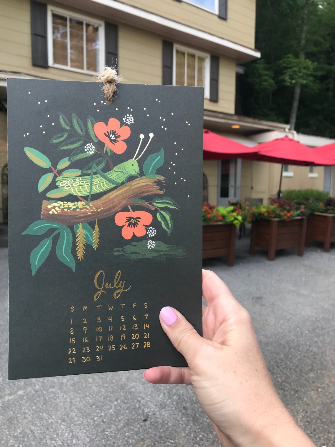 Welcome July + June 2018 Instagram Roundup - I'm Fixin' To - @mbg0112