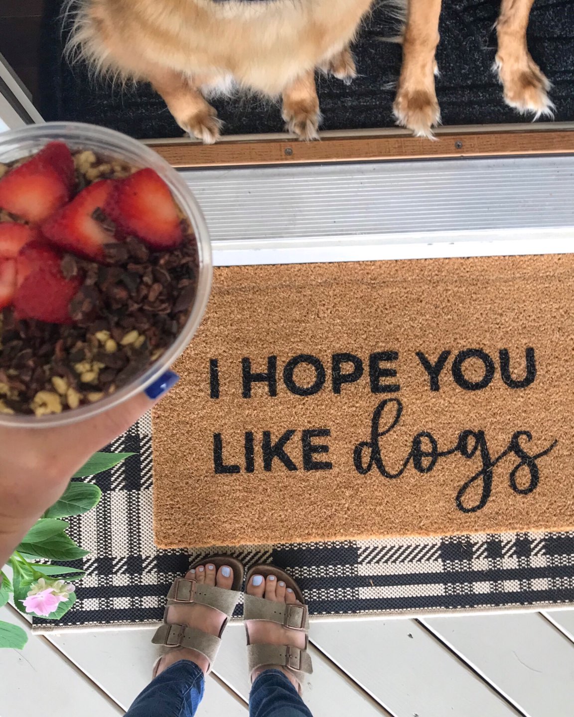 Welcome September + August 2018 Instagram Roundup - I'm Fixin' To - @mbg0112