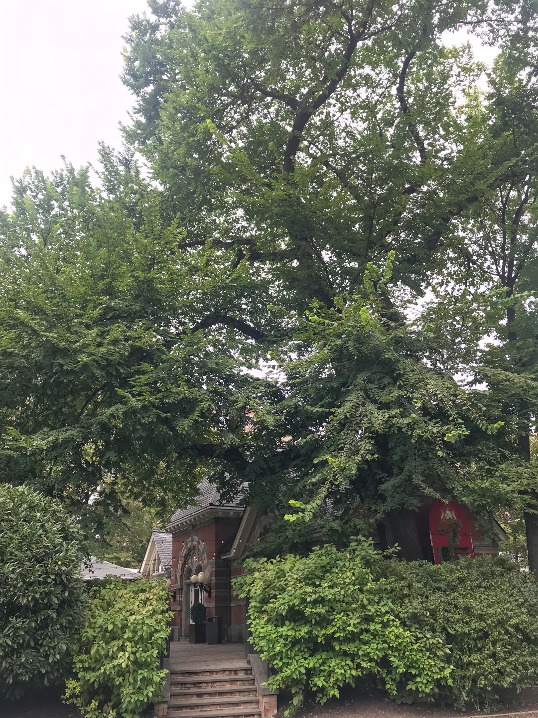 72 Hours in New York City - I'm Fixin' To - @mbg0112