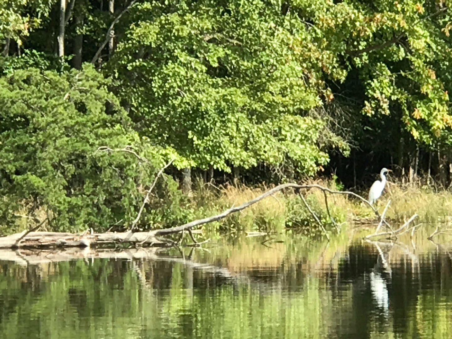 North Carolina Favorite: Kayaking Lake Brandt with REI - I'm Fixin' To - @mbg0112