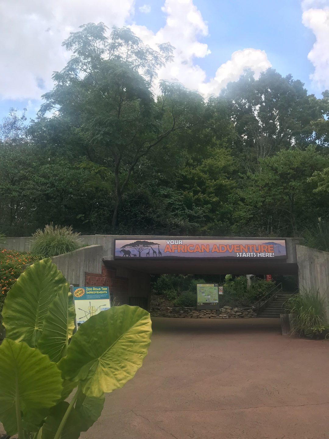 A Day Trip to the North Carolina Zoo featured by top NC blogger, I'm Fixin' To