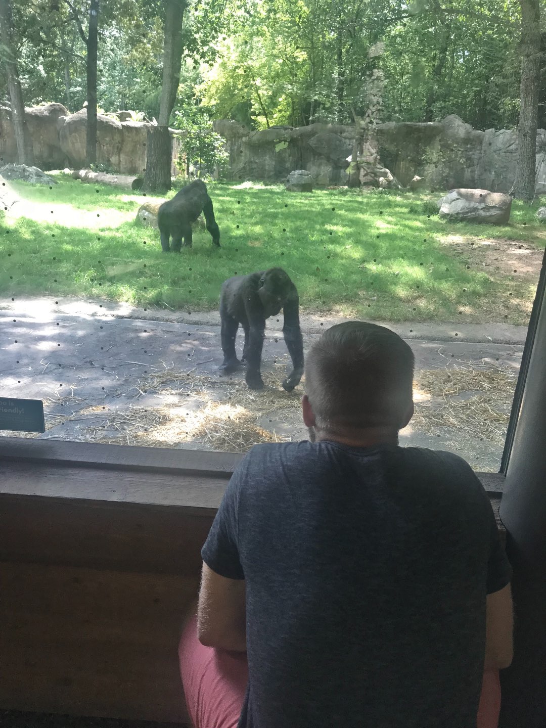 A Day Trip to the North Carolina Zoo featured by top NC blogger, I'm Fixin' To