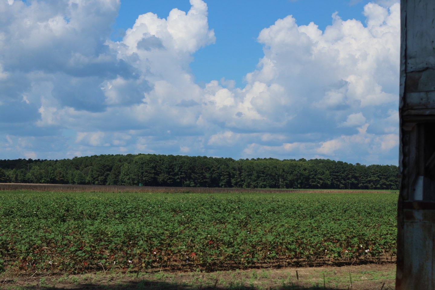 Why I Love Eastern North Carolina - I'm Fixin' To - @mbg0112