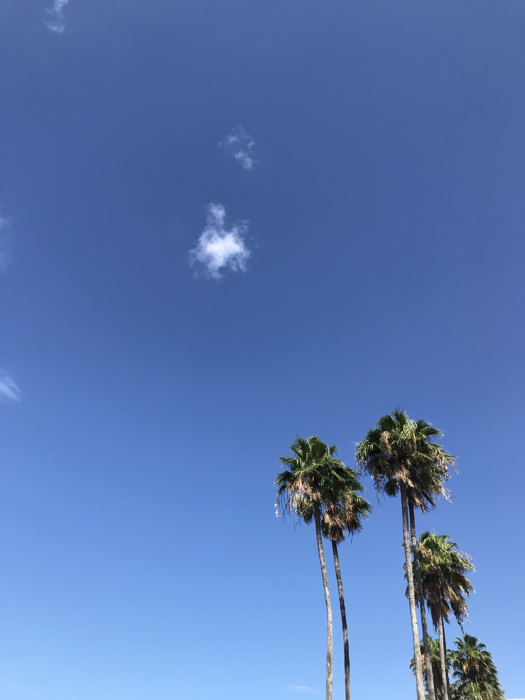2018: Our Year of Travel - I'm Fixin' To - @mbg0112