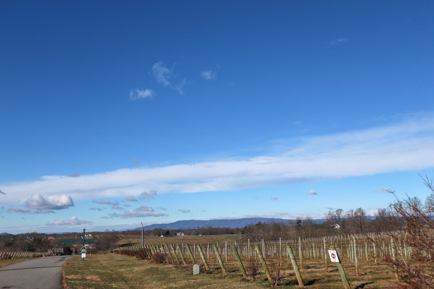 Celebrating Surry County with the Top North Carolina Wineries - I'm Fixin' To - @mbg0112 | Best North Carolina Wineries featured by top US travel blog, I'm Fixin' To