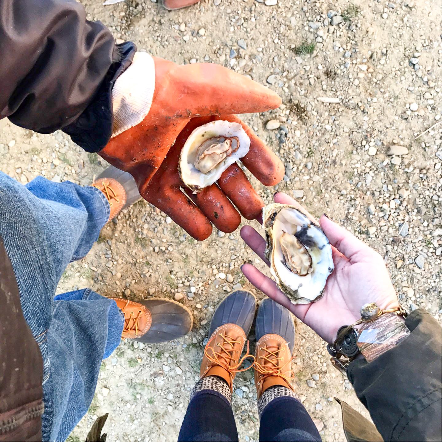Eastern North Carolina Favorite: Last Saturday Oyster Roast - I'm Fixin' To - @mbg0112 | Last Saturday Oyster Roast in Jackson NC review featured by top North Carolina blogger, I'm Fixin' To
