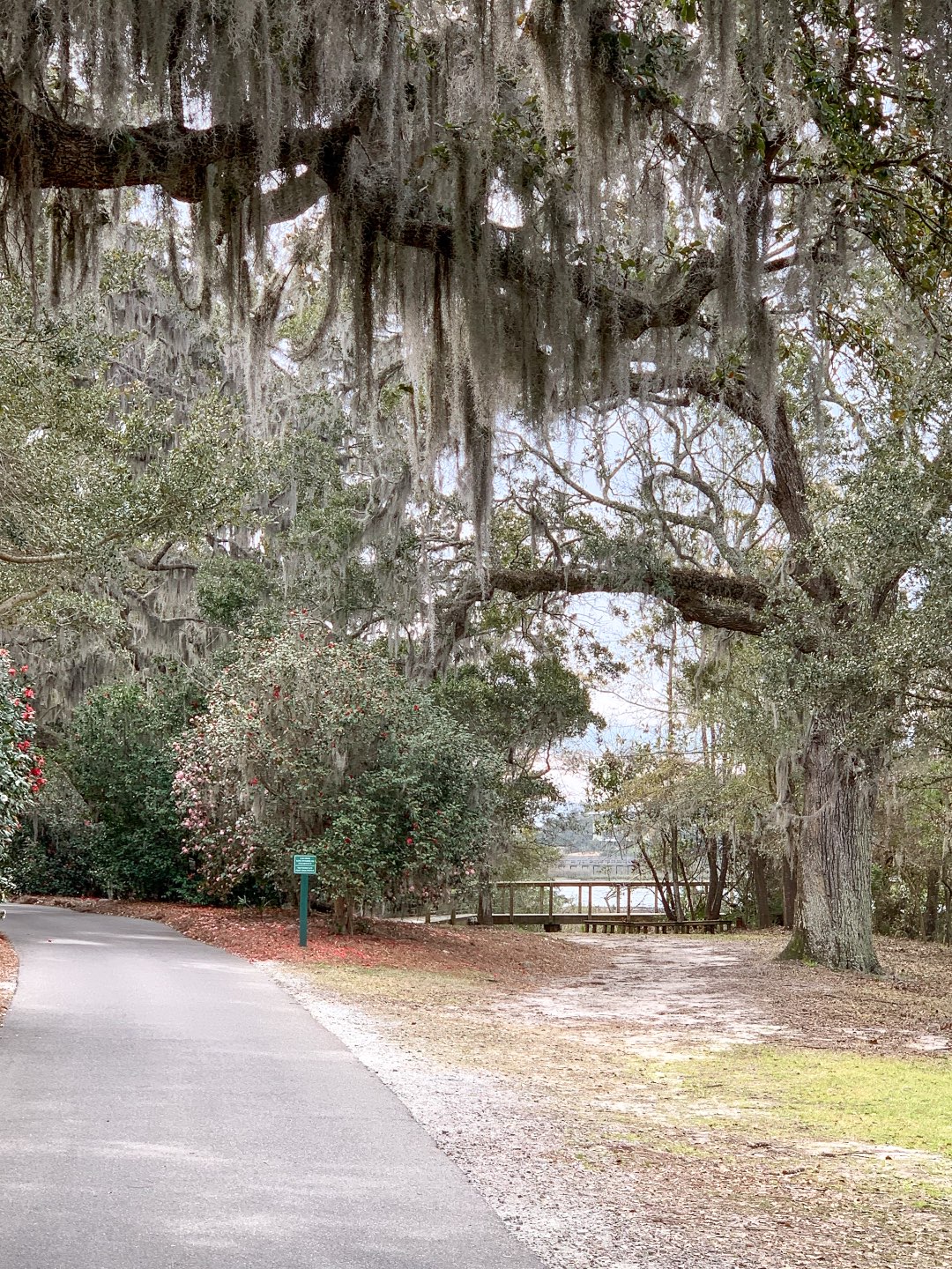 10 Awesome Things to Do in Wilmington NC - I'm Fixin' To - @mbg0112