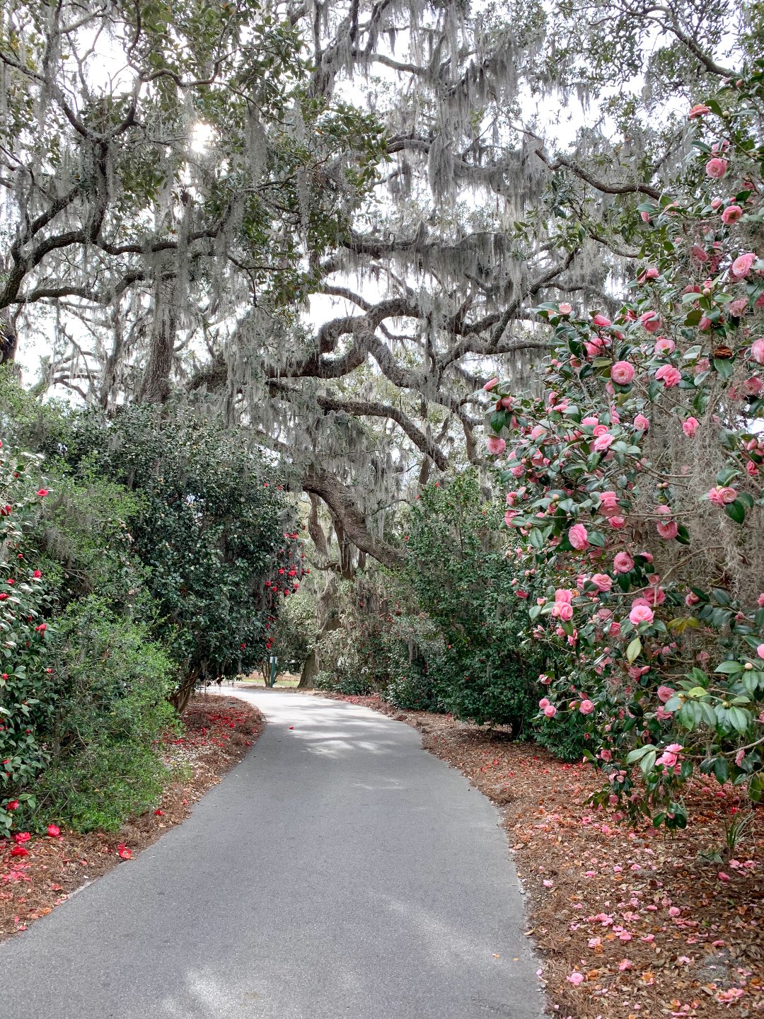 10 Awesome Things to Do in Wilmington NC - I'm Fixin' To - @mbg0112