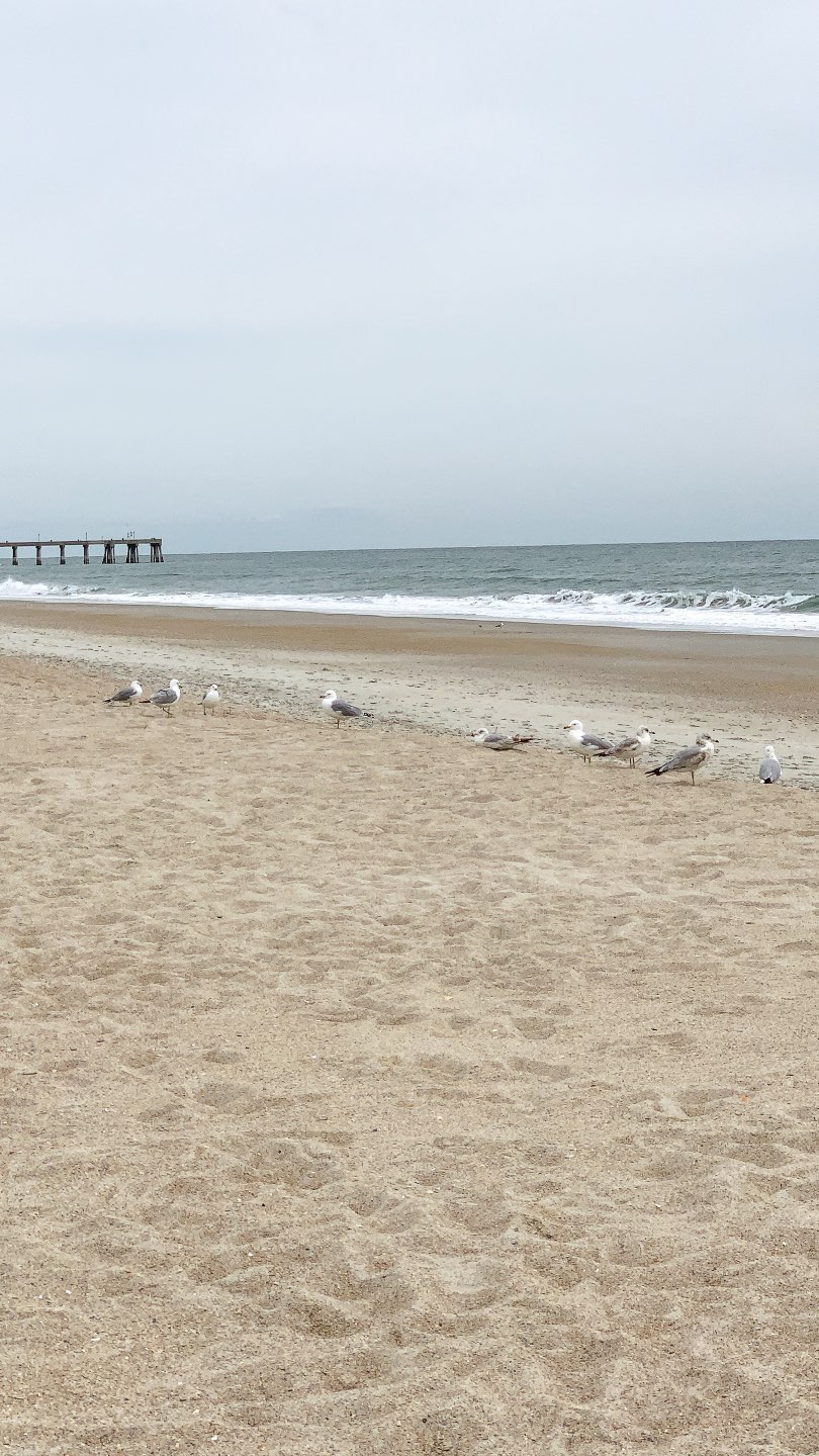 10 Awesome Things to Do in Wilmington NC - I'm Fixin' To - @mbg0112