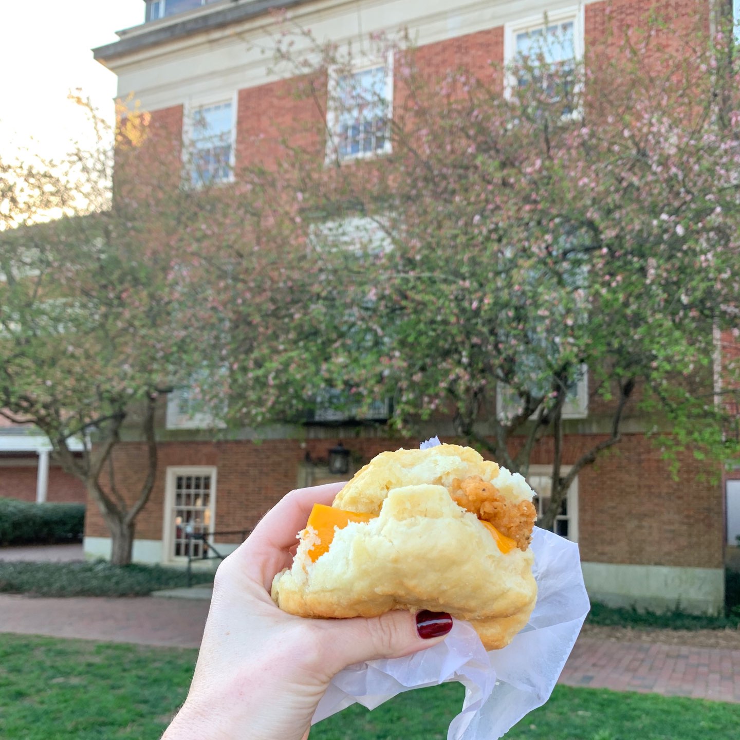 Welcome May + April 2019 Instagram Roundup - I'm Fixin' To - @mbg0112