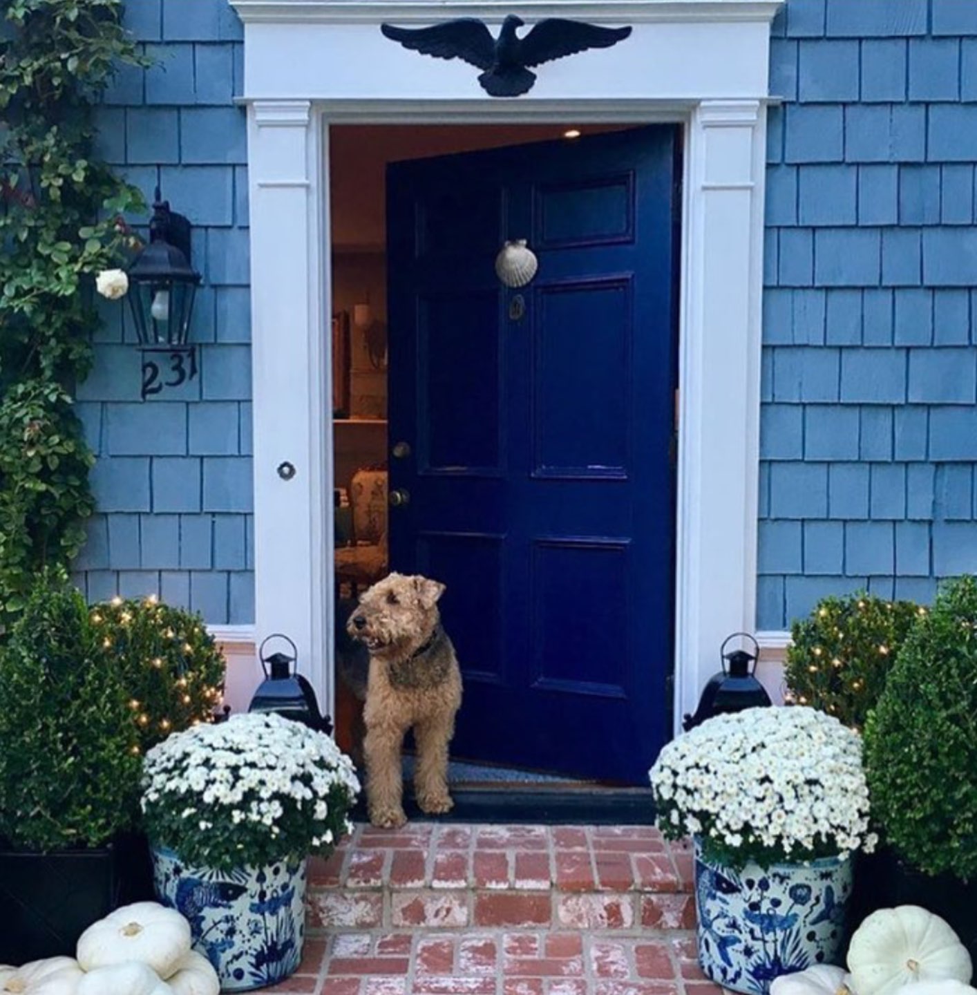 Inspiration Board: Fall Front Porch Ideas - I'm Fixin' To - @mbg0112 | Inspiration Board: Fall Front Porch Ideas by popular North Carolina life and style blog, I'm Fixin' To: image of a front porch decorated with white potted Mums and white pumpkins.