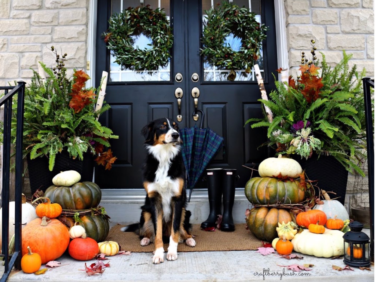 Inspiration Board: Fall Front Porch Ideas - I'm Fixin' To - @mbg0112 | Inspiration Board: Fall Front Porch Ideas by popular North Carolina life and style blog, I'm Fixin' To: image of a front porch decorated with pumpkins, lanterns, and potted ferns.