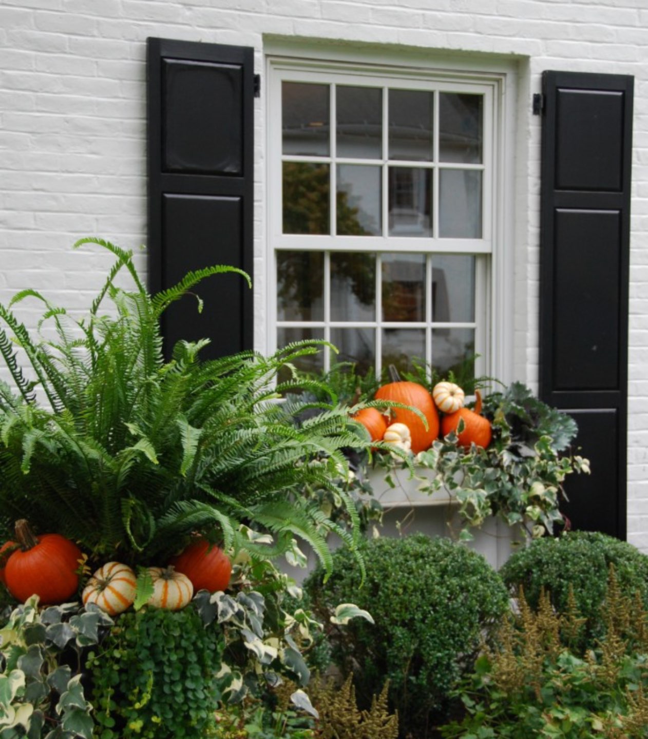 Inspiration Board: Fall Front Porch Ideas - I'm Fixin' To - @mbg0112 | Inspiration Board: Fall Front Porch Ideas by popular North Carolina life and style blog, I'm Fixin' To: image of a front porch decorated with potted ferns, and pumpkins.