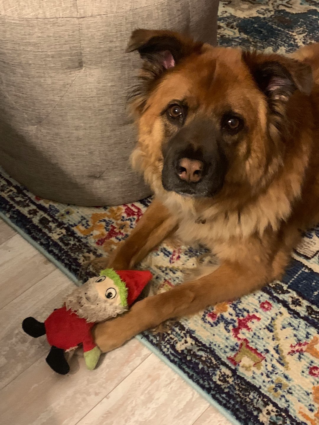 Coffee Talk: October 2019 Edition - I'm Fixin' To - @mbg0112