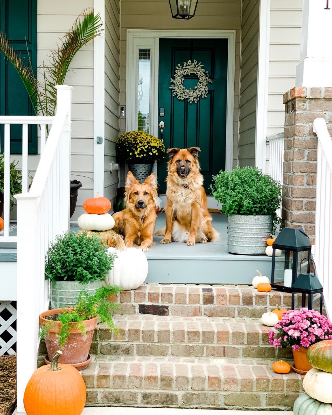 Welcome November + October 2019 Instagram Roundup - I'm Fixin' To - @mbg0112