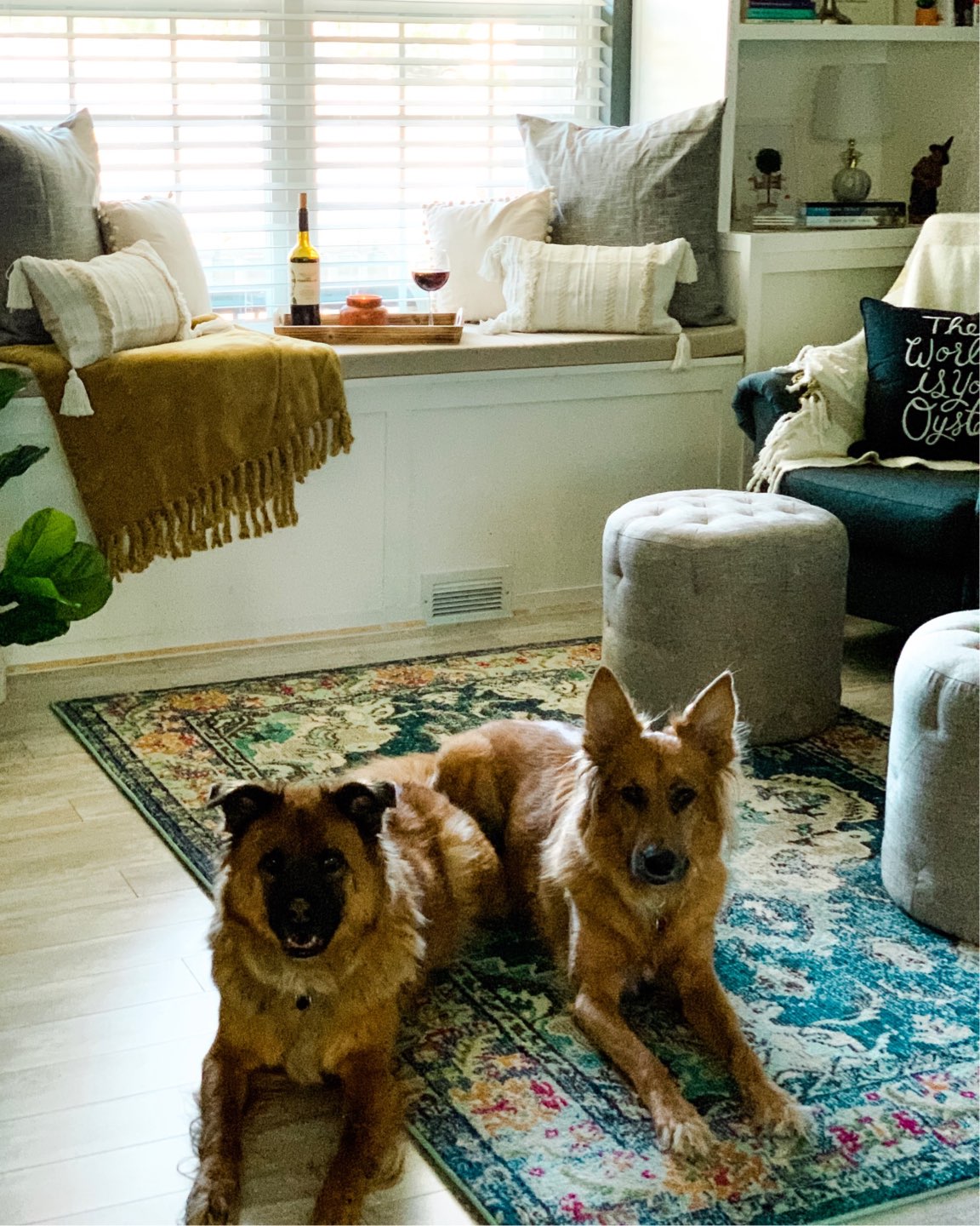 Welcome November + October 2019 Instagram Roundup - I'm Fixin' To - @mbg0112