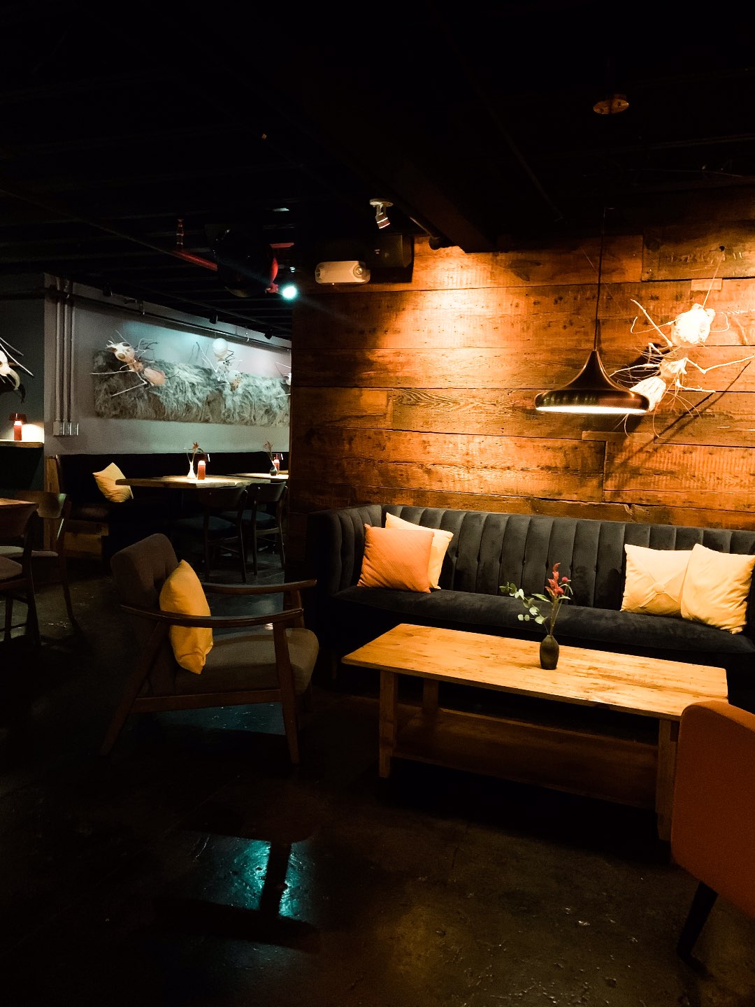 Unique Things to Do in Durham NC at Night featured by top North Carolina blog, I'm Fixin' To