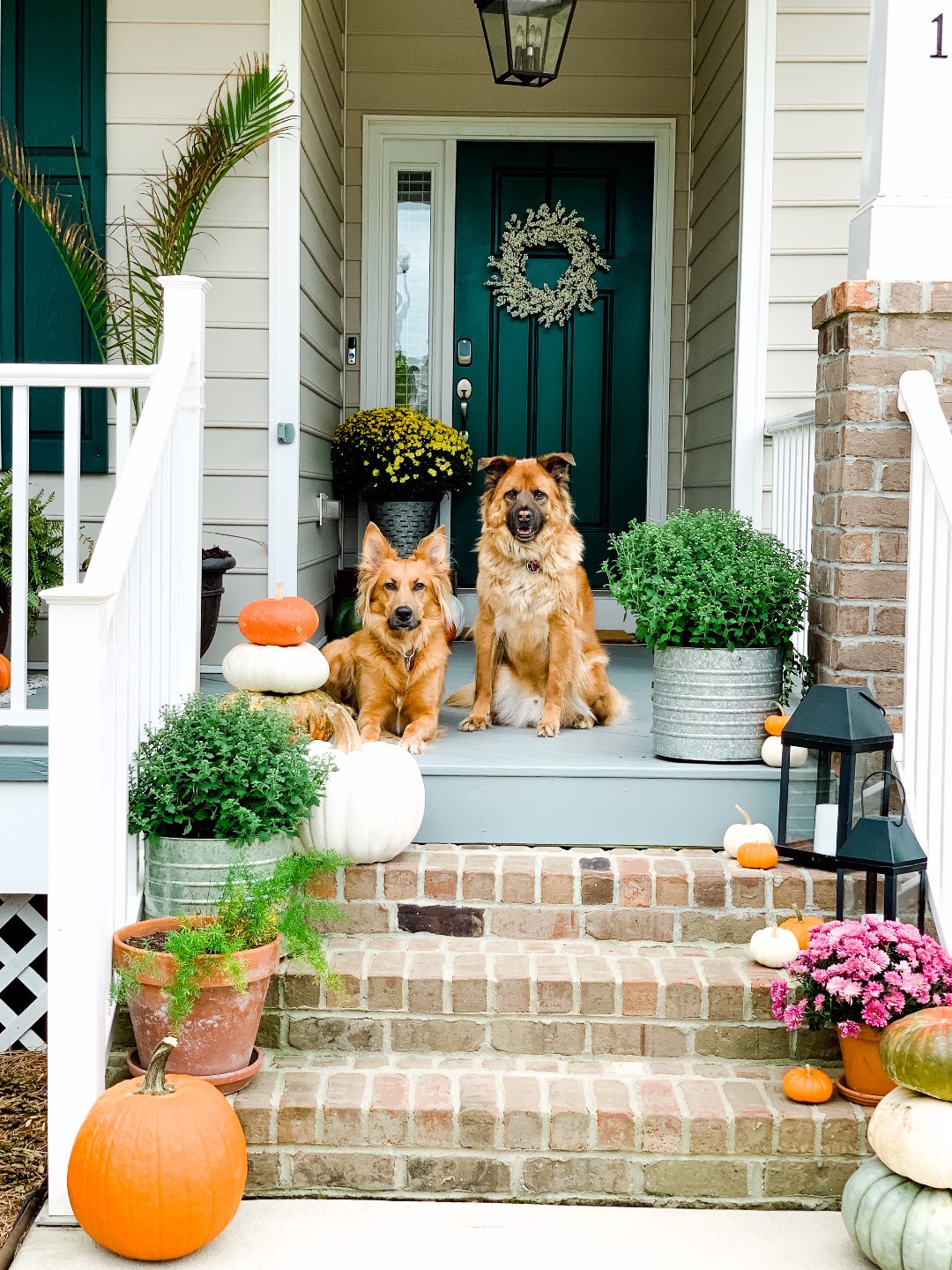 5 Things to Be Grateful For this Holiday Season, featured by top US life and style blog, I'm Fixin' To