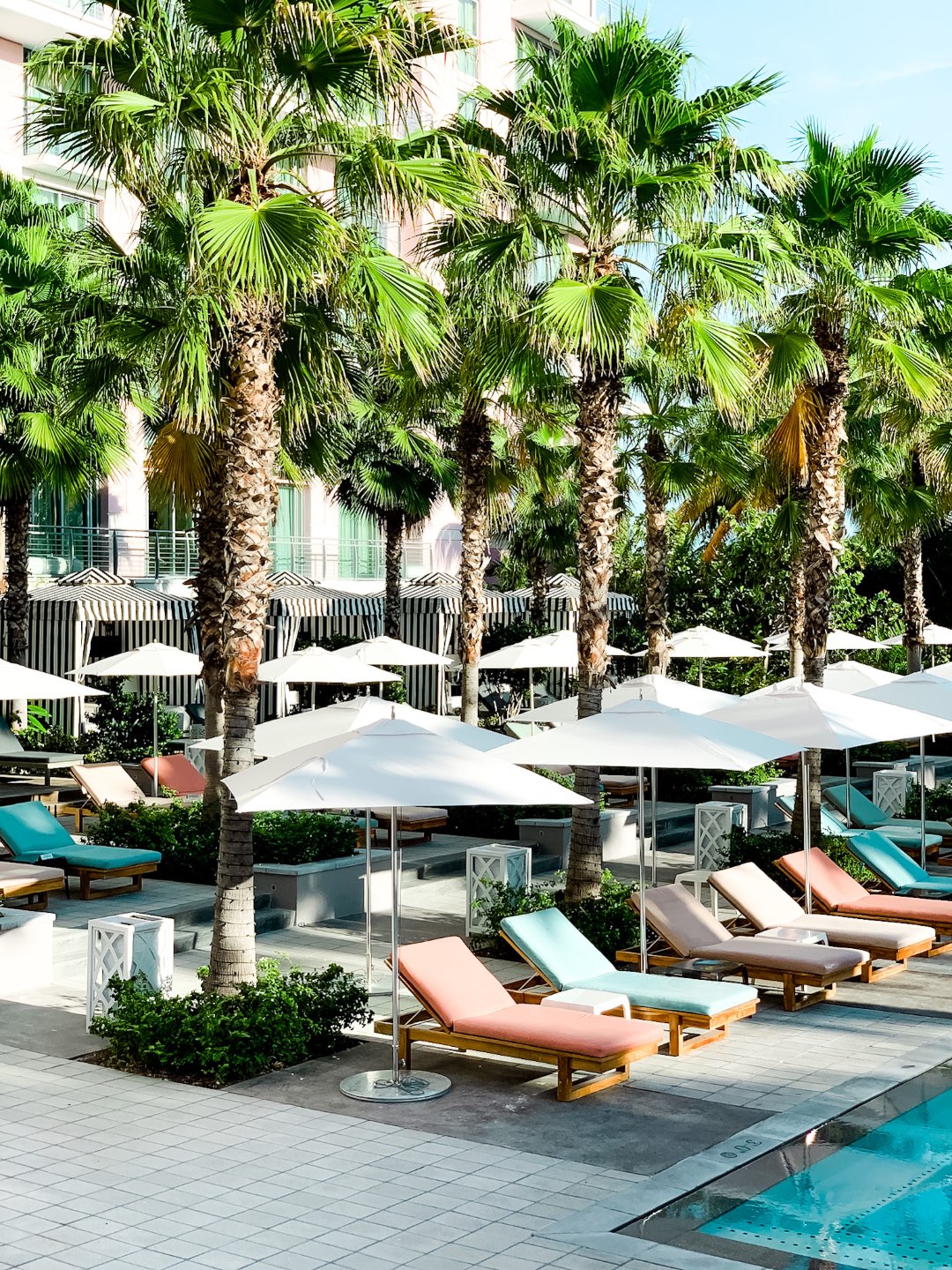 Warming Up in the Bahamas: the Best Things to Do at Baha Mar - I'm Fixin' To - @mbg0112 | Warming Up in the Bahamas: the Best Things to Do in Baha Mar by popular North Carolina travel blog, I'm Fixin' To: image of palm trees. 