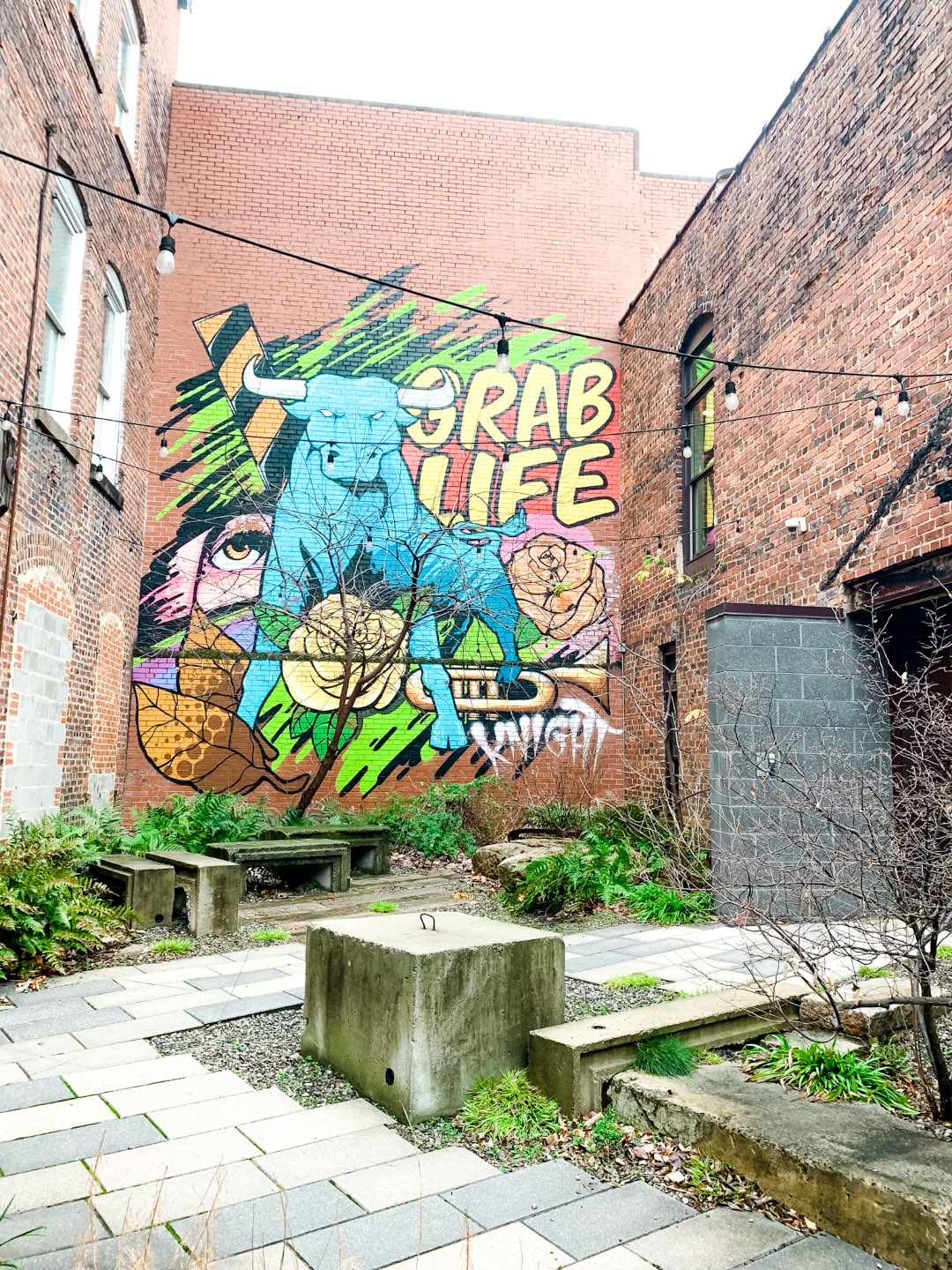 Durham Favorites: M Restaurants Review - I'm Fixin' To - @mbg0112 | M Restaurants in Durham by popular NC lifestyle blog, I'm Fixin To: image of a bull wall mural.