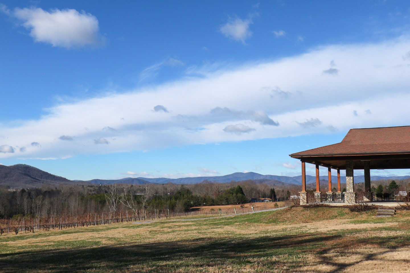 Celebrate North Carolina Wines during NC Wine Month - I'm Fixin' To - @mbg0112 | North Carolina Wine by popular North Carolina blog, I'm Fixin' To: image of a North Carolina vineyard. 