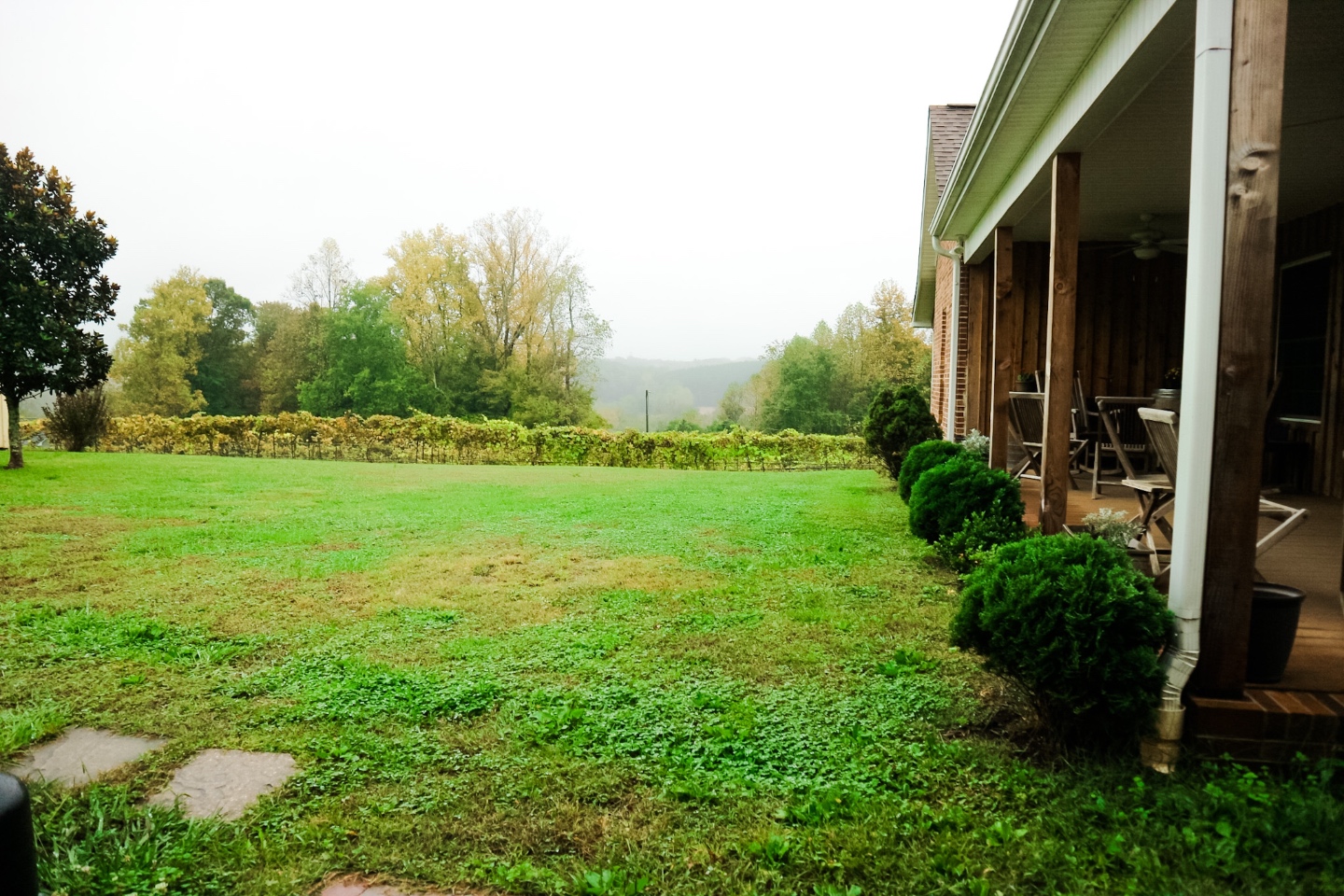 Western NC Wineries: 6 Wineries to Visit During your Next Girls' Weekend - I'm Fixin' To - @mbg0112 |Western NC Wineries by popular NC blog, I'm Fixin' To: image of Carolina Heritage vineyard and winery. 