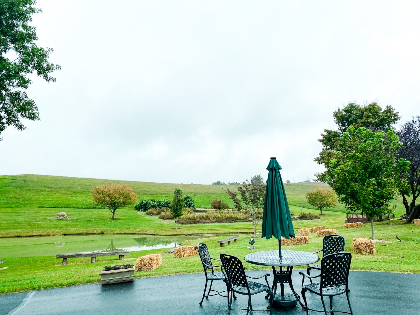 Western NC Wineries: 6 Wineries to Visit During your Next Girls' Weekend - I'm Fixin' To - @mbg0112 |Western NC Wineries by popular NC blog, I'm Fixin' To: image of Harvest Grill at Shelton Vineyards. 