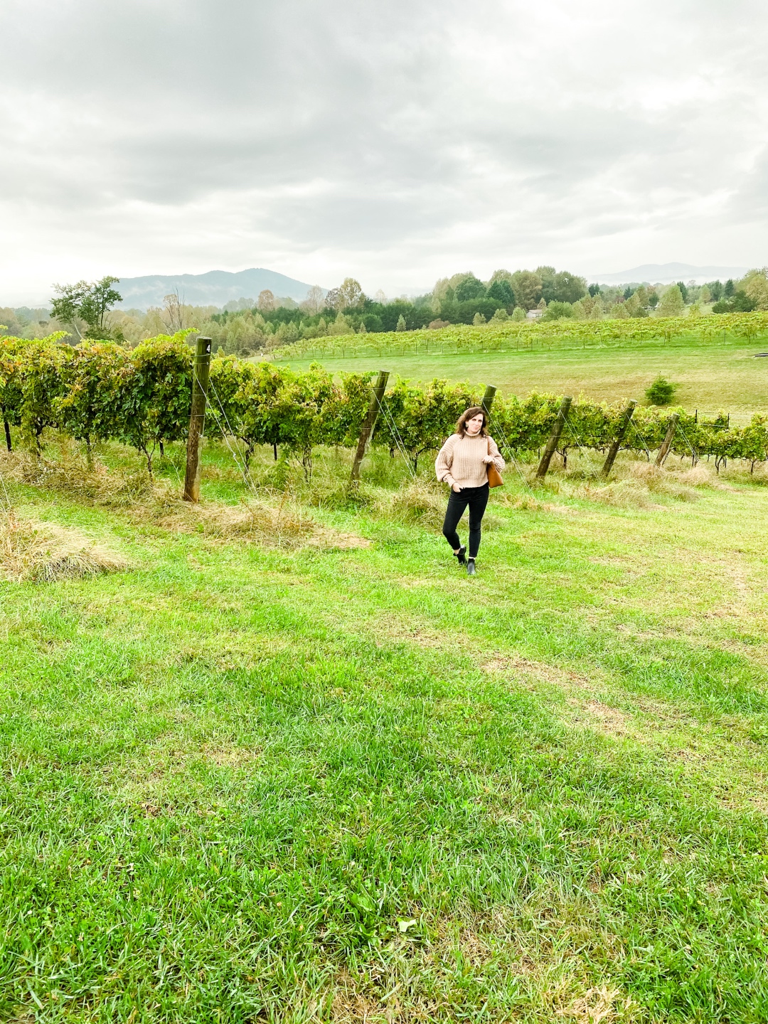 Western NC Wineries: 6 Wineries to Visit During your Next Girls' Weekend - I'm Fixin' To - @mbg0112 |Western NC Wineries by popular NC blog, I'm Fixin' To: image of a woman standing outside at Round Peak Vineyards. 