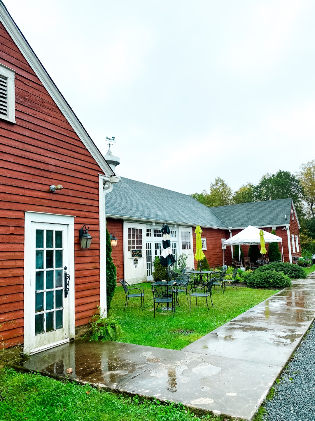 Western NC Wineries: 6 Wineries to Visit During your Next Girls' Weekend - I'm Fixin' To - @mbg0112 |Western NC Wineries by popular NC blog, I'm Fixin' To: image of Grassy Creek Vineyard and Winery. 