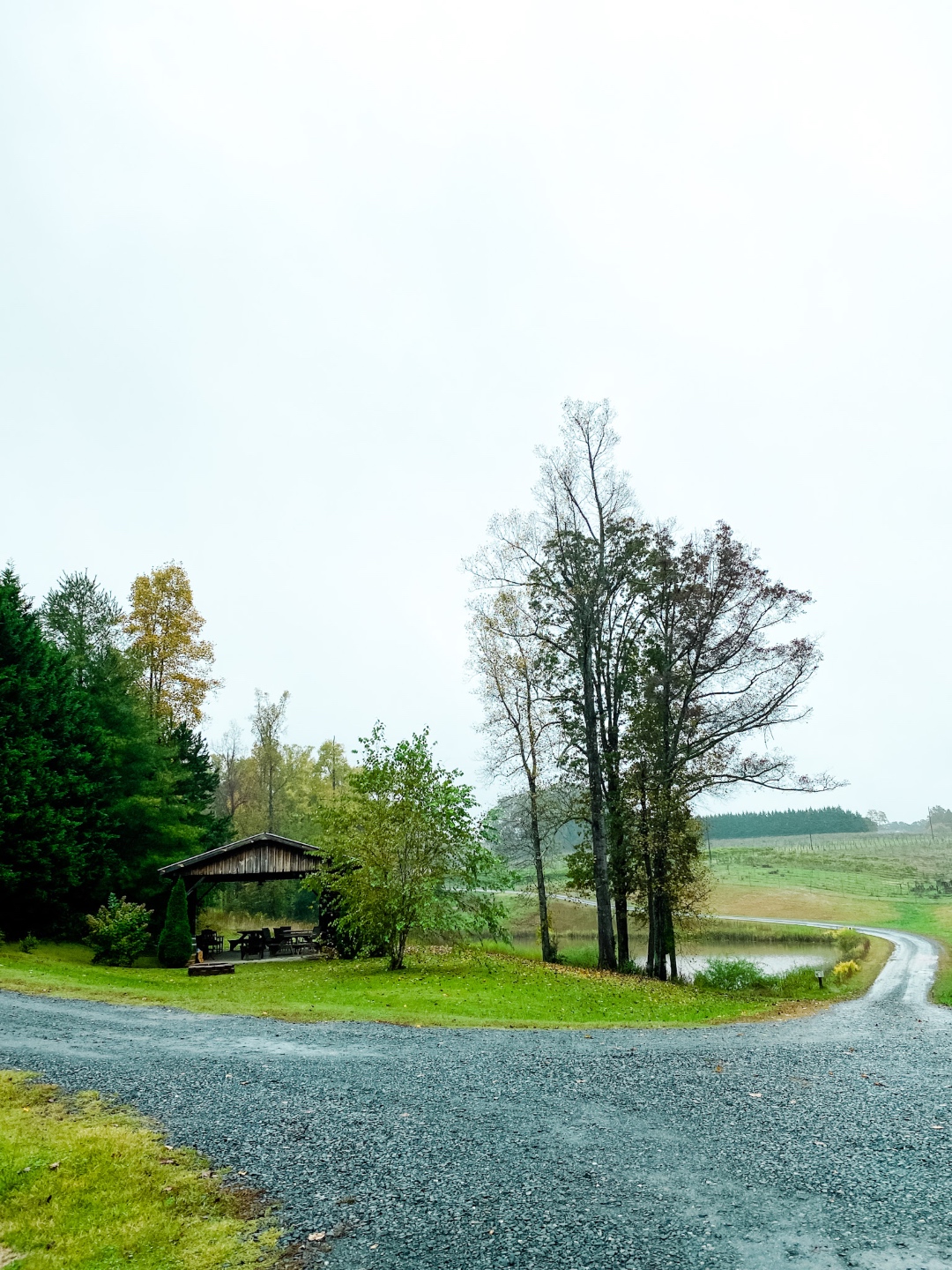 Western NC Wineries: 6 Wineries to Visit During your Next Girls' Weekend - I'm Fixin' To - @mbg0112 |Western NC Wineries by popular NC blog, I'm Fixin' To: image of Grassy Creek Vineyard and Winery. 