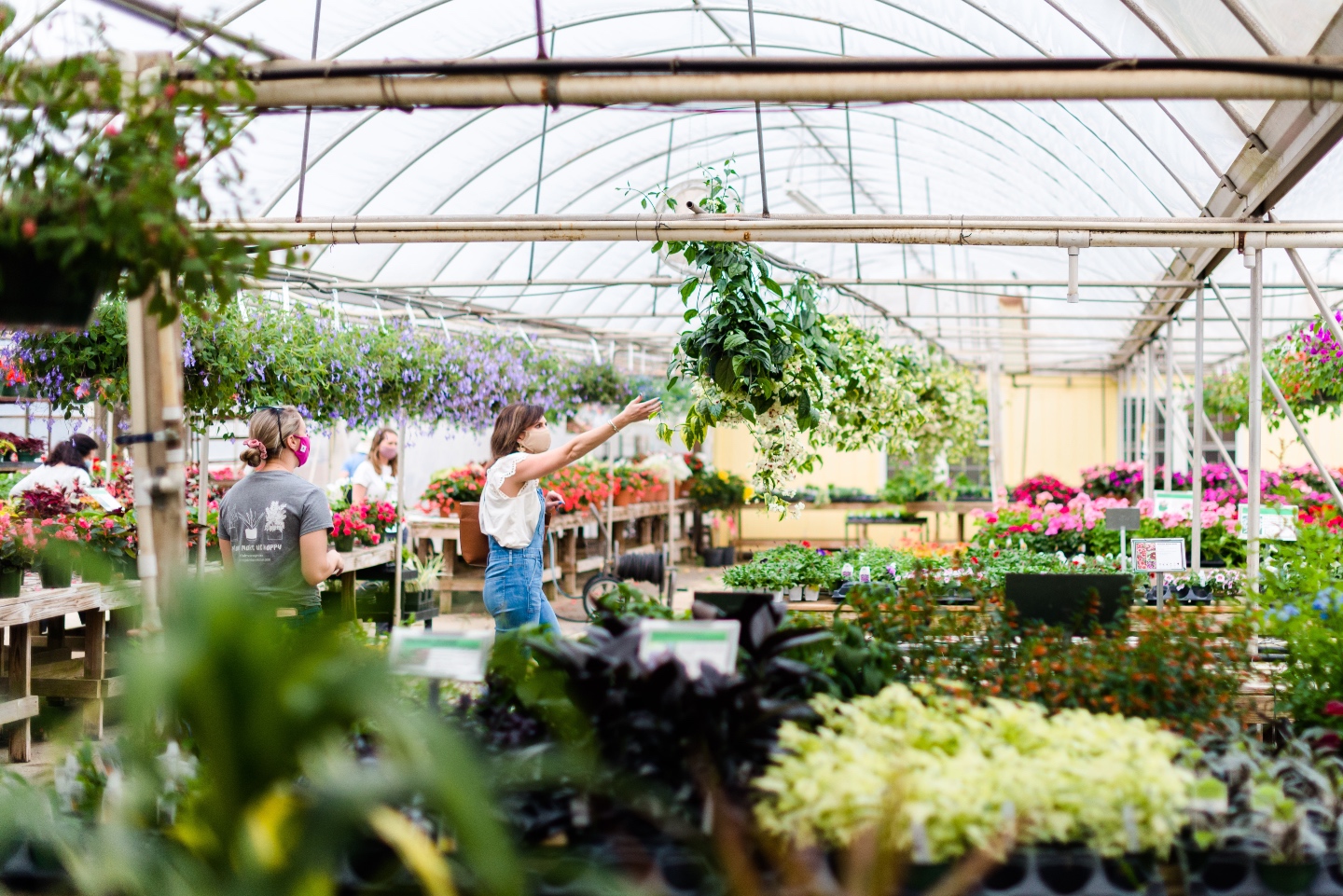 5 Spring Planting Tips with Fairview Garden Center - I'm Fixin' To - @imfixintoblog |Best Plants to Plant in Spring by popular NC lifestyle blog: image of a woman looking at hanging plants at the Fairview Garden Center. 