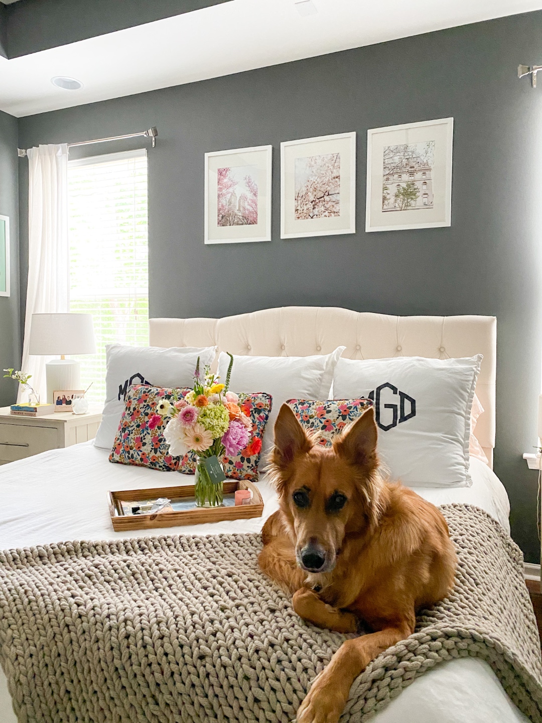 Home Decor: 7 Spring Prints for your Gallery Wall - I'm Fixin' To - @imfixintoblog | Spring Prints by popular NC life and style blog, I'm Fixin' To: image of a dog sitting on a bed with a cream tuft head board, white bedding, floral print throw pillows and spring prints in white frames hanging above it on a grey accent wall.