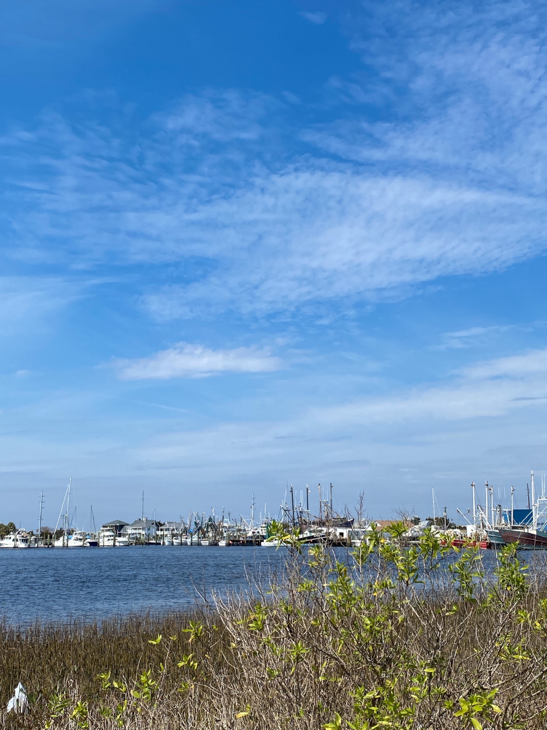 Things to do in North Carolina by popular NC travel blog, I'm Fixin' To: image of sailboats docked in a harbor. 