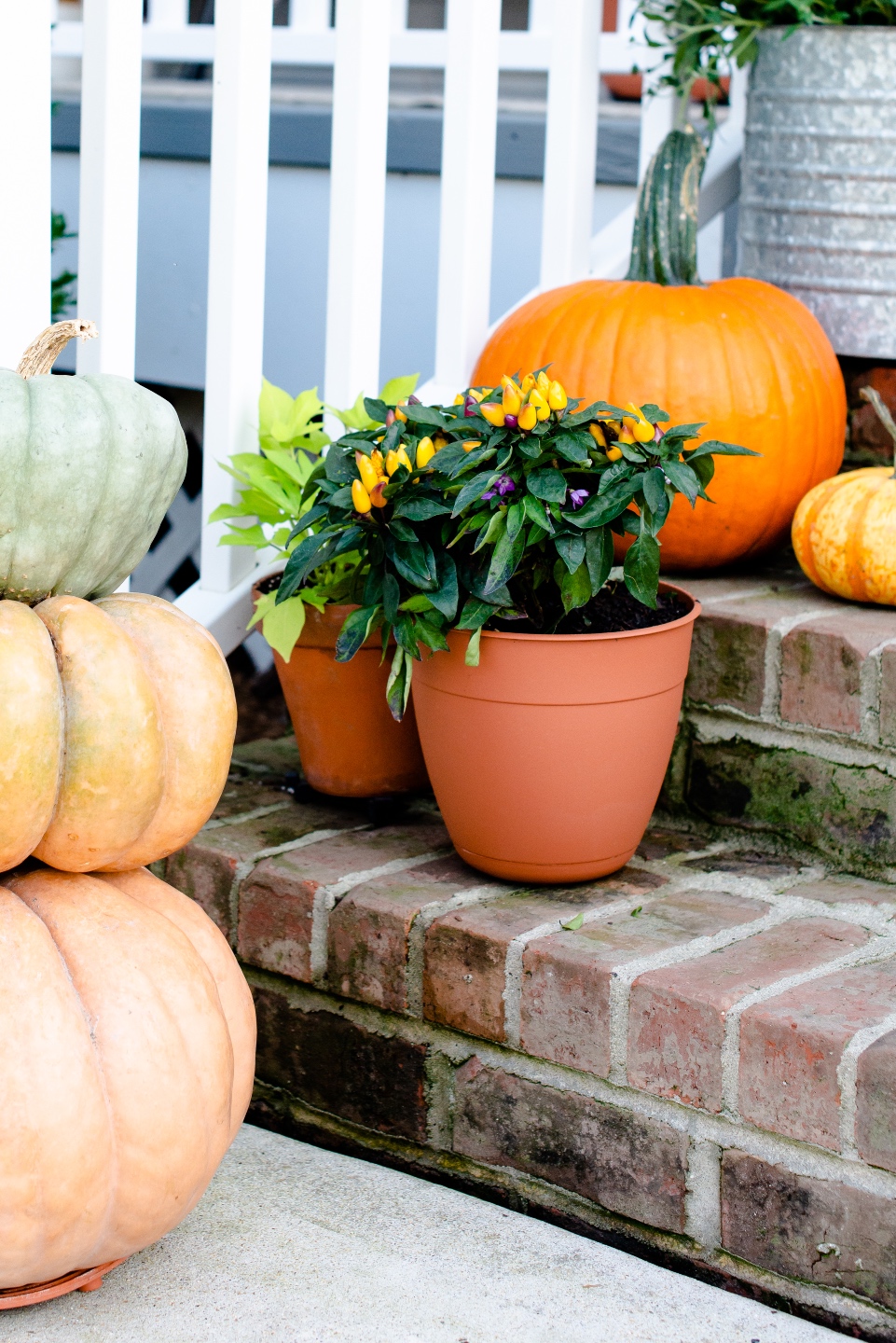 Fall Front Porch Decor with Fairview Garden Center featured by top Raleigh blogger, I'm Fixin' To