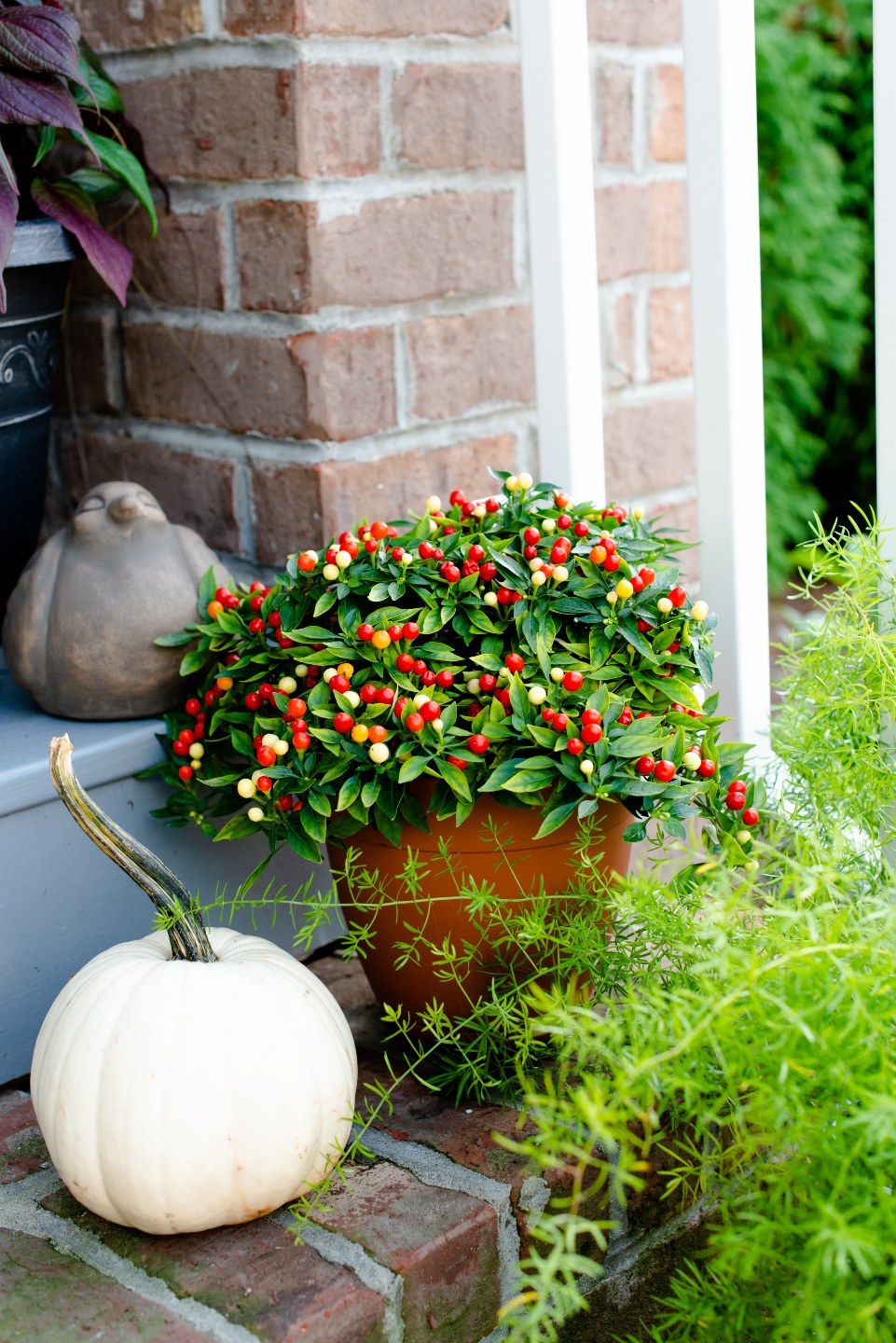 Fall Front Porch Decor with Fairview Garden Center featured by top Raleigh blogger, I'm Fixin' To