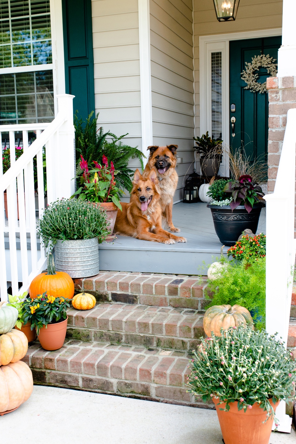 Fall Home Tour 2021 featured by top NC lifestyle blogger, I'm Fixin' To