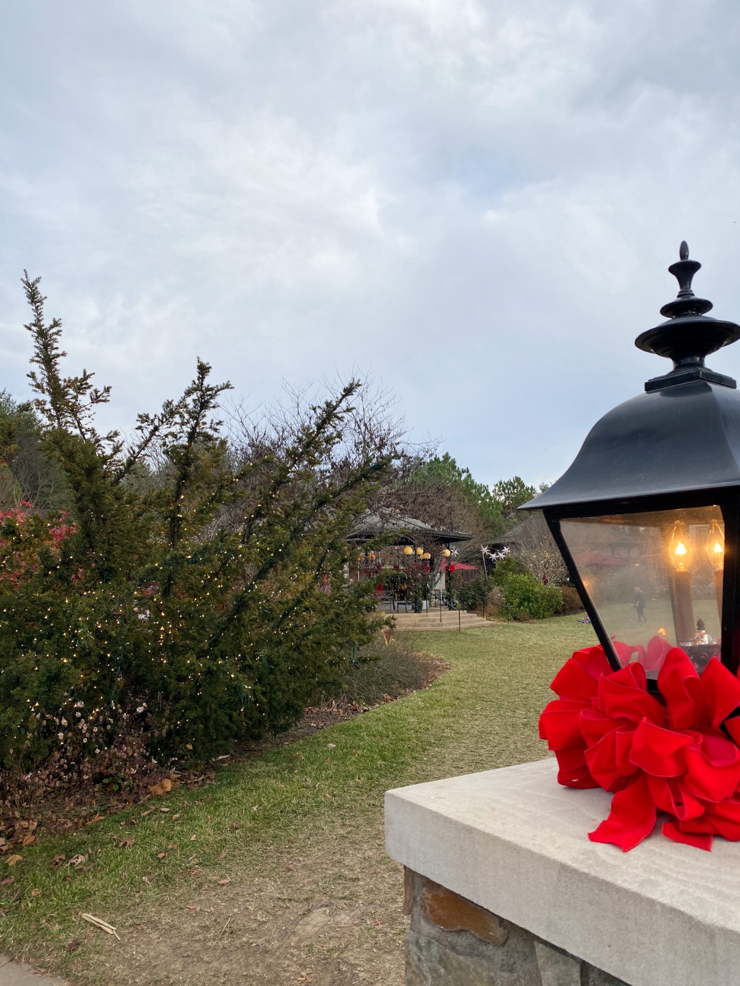 Holidays at the Biltmore Estate, a guide featured by top NC blogger, I'm Fixin' To