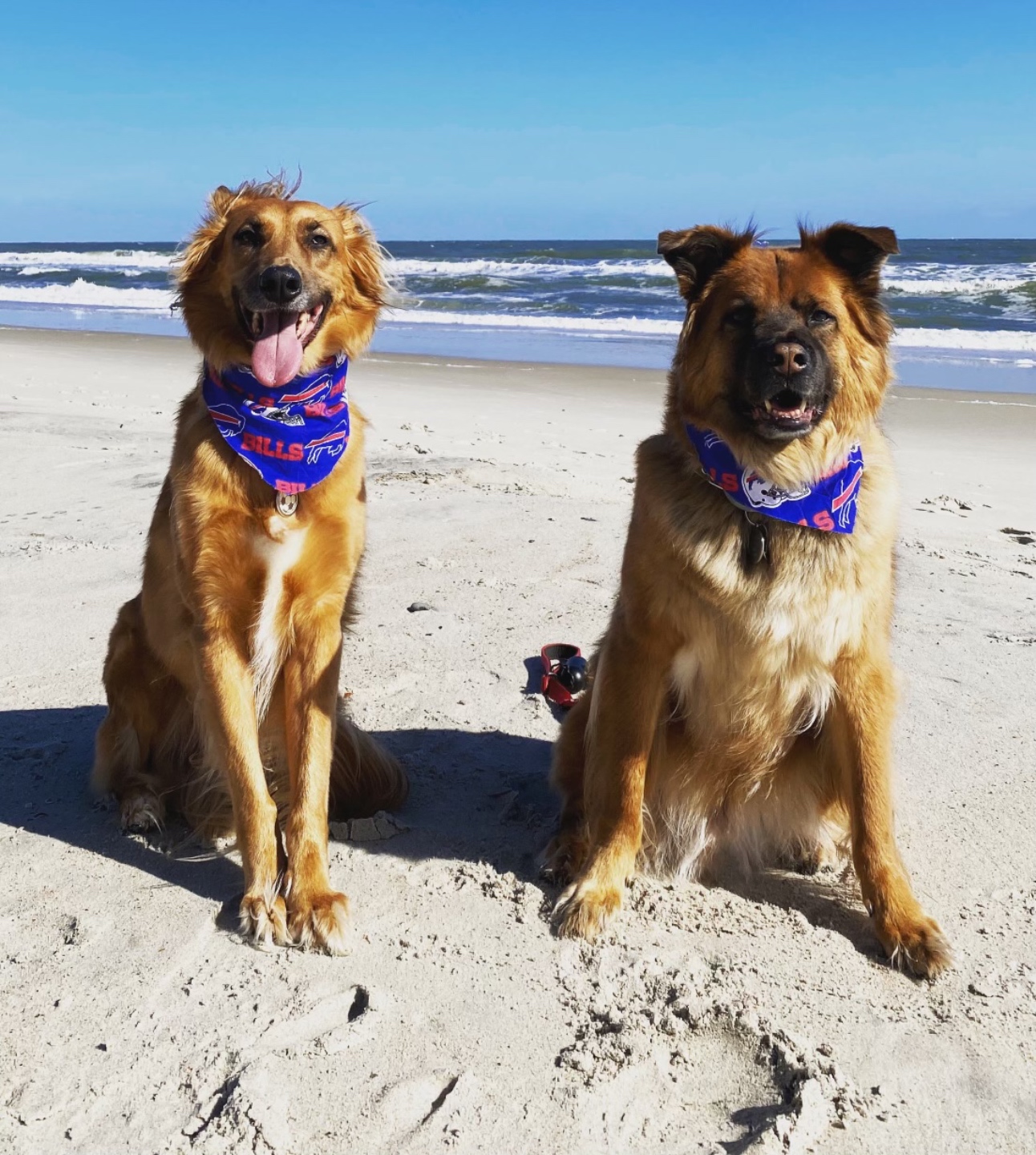 The Best Things to Do in Carolina Beach in Winter