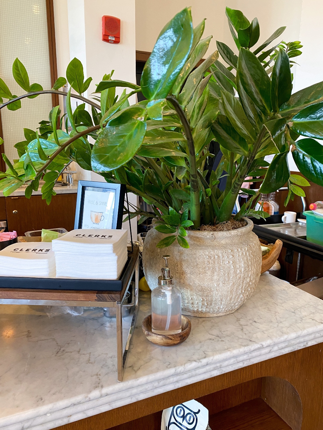 Emeline Hotel in Charleston SC reviewed by top US travel blogger, I'm Fixin' To